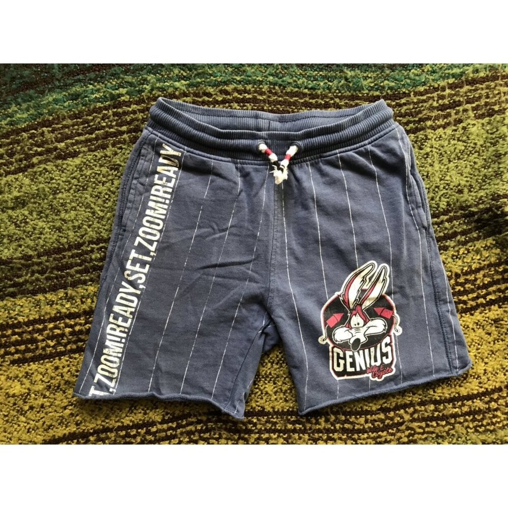 Zara Wile E Coyote Shorts